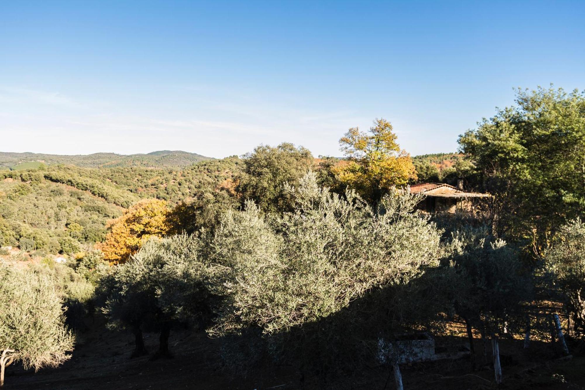 Pozuelo 1 Jabugo Guest House Bagian luar foto